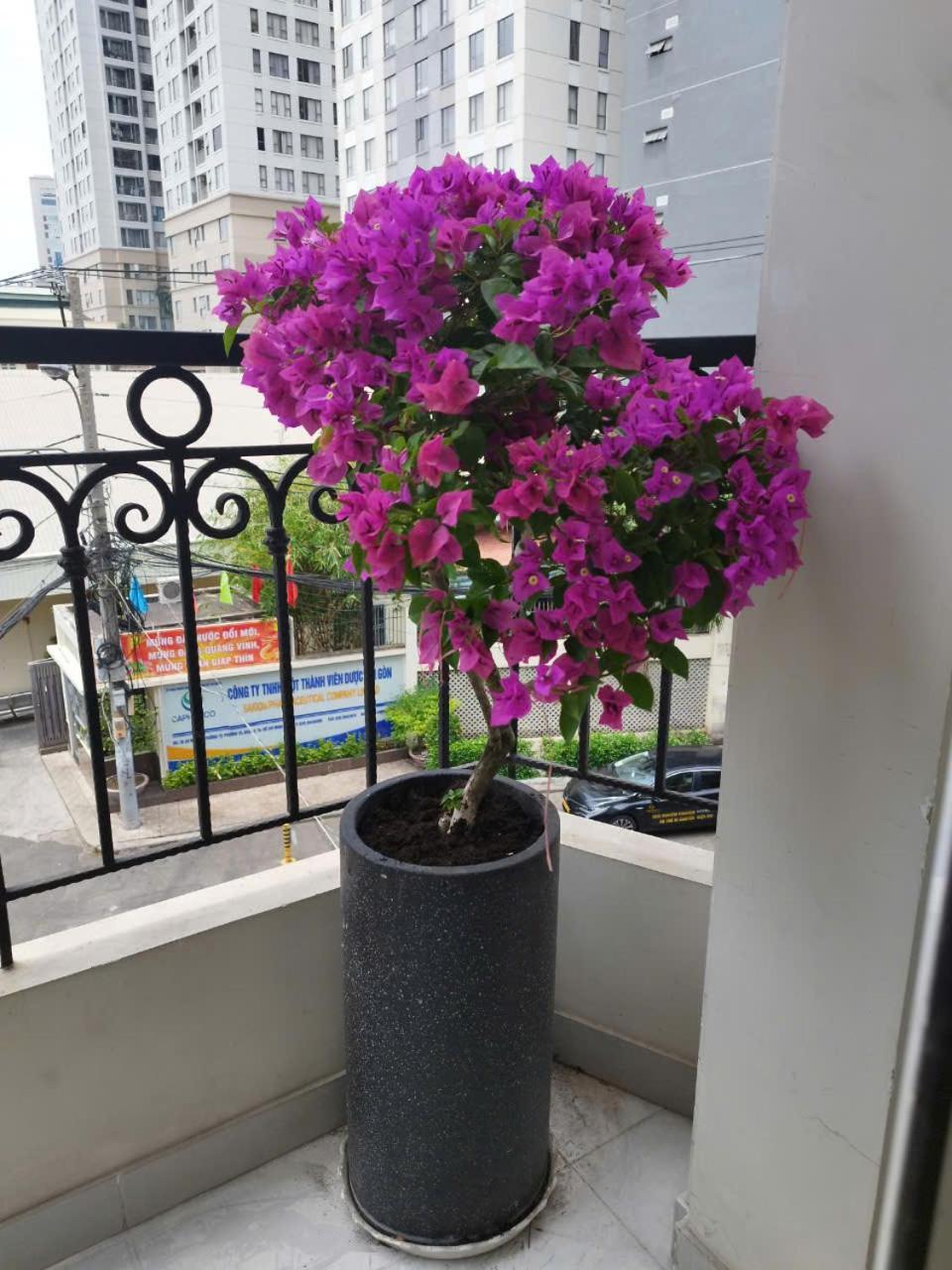 7 Apartment Ho Chi Minh City Bagian luar foto